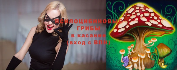 ALPHA-PVP Алексин