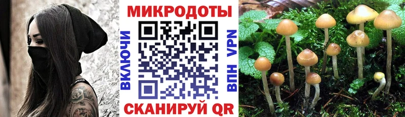 это как зайти  Бикин  Галлюциногенные грибы MAGIC MUSHROOMS  как найти закладки 